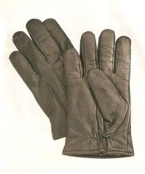 SAP Gloves 